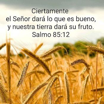 SALMO 85: Para Un Tiempo Como Este - SALMO 85:12